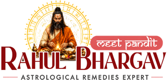 PT.Rahul Bhargav 